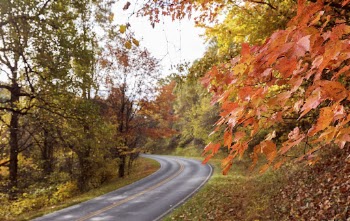 Beautiful Autumn aesthetic background, skyline | Free Photo - rawpixel