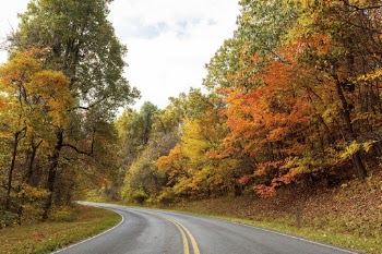 Beautiful Autumn aesthetic background, skyline | Free Photo - rawpixel