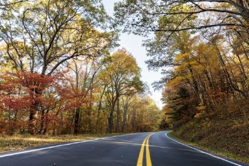 Beautiful Autumn aesthetic background, skyline | Free Photo - rawpixel