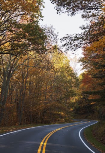 Beautiful Autumn aesthetic background, skyline | Free Photo - rawpixel