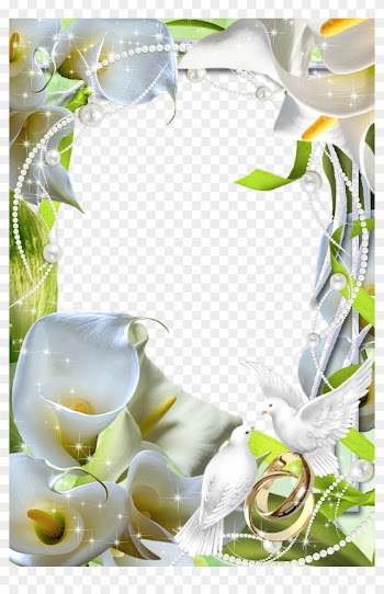 Beautiful - Beautiful Transparent Flower Frame