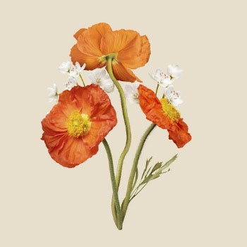 Beautiful botanical sticker, nature collage | Free PSD - rawpixel