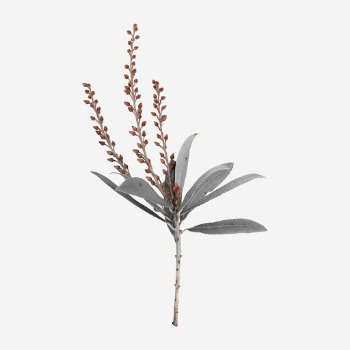 Beautiful botanical sticker, nature collage | Free PSD - rawpixel