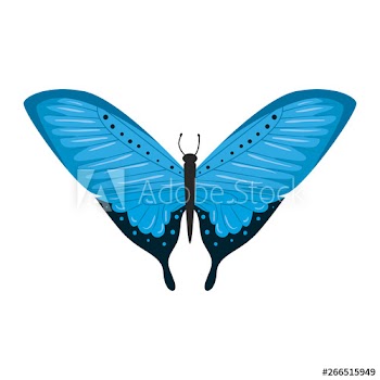 beautiful butterfly flying icon