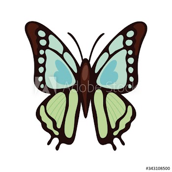 beautiful butterfly green insect flat style icon