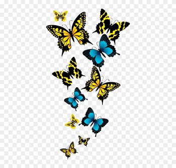 Beautiful Butterfly In Group Transparent Background - Png Format Butterfly Png Background