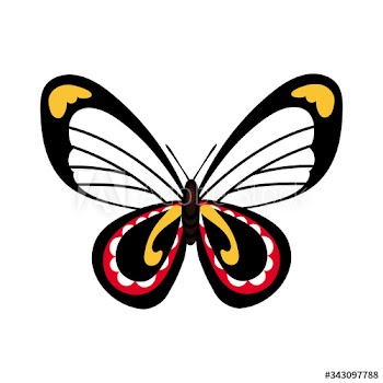 beautiful butterfly insect black flat style icon