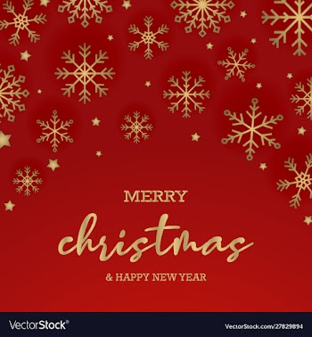 Beautiful christmas background with snowflake vector image