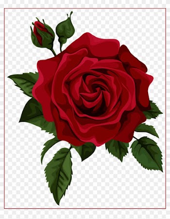 Beautiful Clipart Red Rose - Red Rose Vector