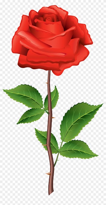 Beautiful Clipart Rose Flower - Rose Clip Art Png