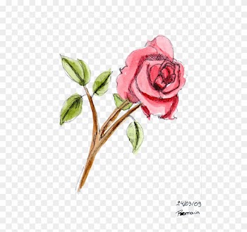 Beautiful Dessin De Rose En Couleur - Dessin D Une Rose En Couleur
