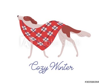 Beautiful dog, domestic animal carrying warm red blanket flat illustration with handwriting