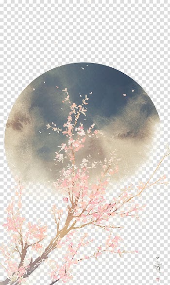Beautiful,drawn illustration antiquity transparent background PNG clipart