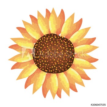 beautiful flower decorative design
