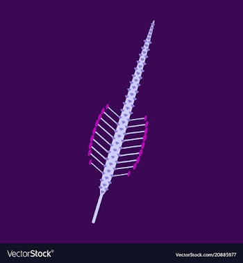 Beautiful flower on color background in flat style vector image