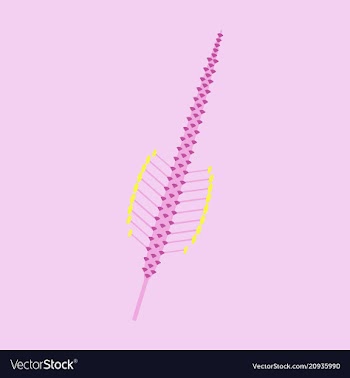 Beautiful flower on color background in flat style vector image