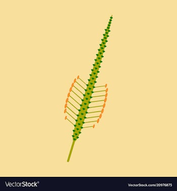 Beautiful flower on color background in flat style vector image