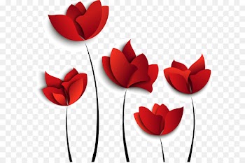 Beautiful flower pattern 