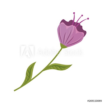 beautiful flower with leafs decorative icon