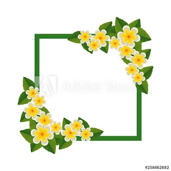 beautiful flowers and leafs square frame