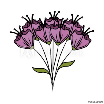 beautiful flowers bouquet icon