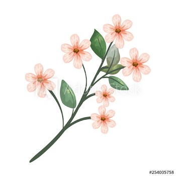 beautiful flowers decorative icon