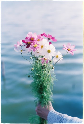 Beautiful Flowers in Hand