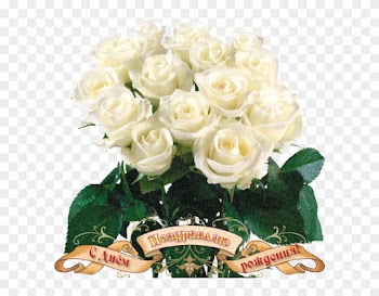 Beautiful Flowers Roses White