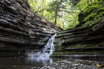 Beautiful Flowing Creek Free Photo 