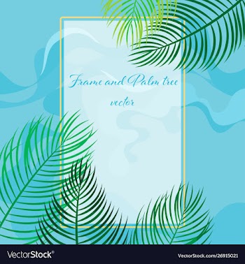 Beautiful frame and palm tree nature scene vector image