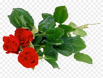 Beautiful Good Morning Images Bundle Of Roses Download - Khadi Rose Honey With Rose Petal Soap (set Of 4)