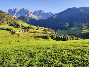Beautiful Green Fields