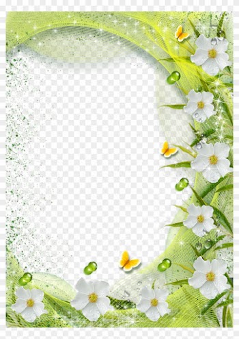 Beautiful Green Transparent Photo Frame With White - Transparent Background Frame Png