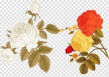 Beautiful hand-painted vintage flowers transparent background PNG clipart