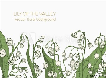 Beautiful horizontal floral backdrop decorated with lily of the valley blooming flowers growing at bottom edge on white background