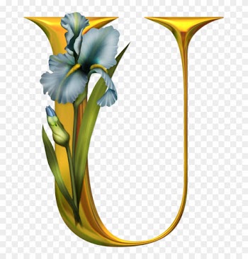 Яндекс - Фотки - Beautiful Images Of Alphabet U