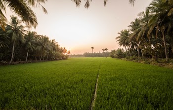 Beautiful Indian landscape