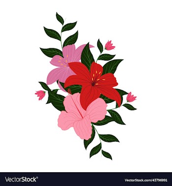 beautiful lily color flowers graphic design