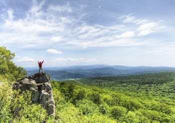 Beautiful nature background, tourist standing | Free Photo - rawpixel