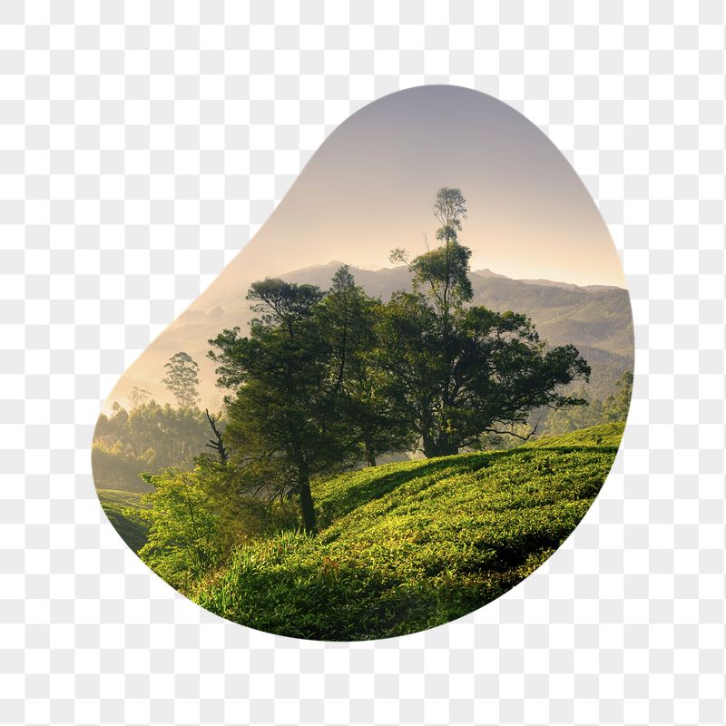 Beautiful nature png badge sticker, | Free PNG - rawpixel