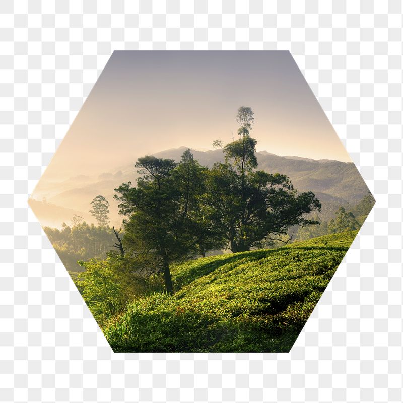 Beautiful nature png badge sticker, | Free PNG - rawpixel