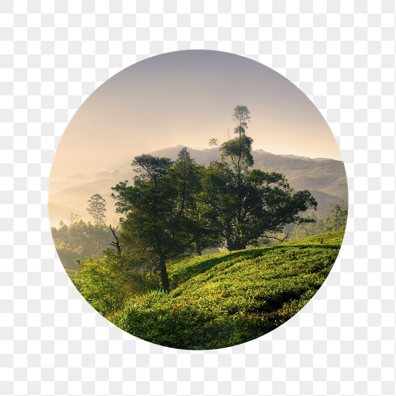 Beautiful nature png badge sticker, | Free PNG - rawpixel