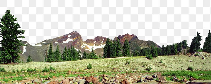 Beautiful nature png border, transparent | Free PNG - rawpixel