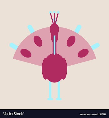 Beautiful peacock cartoon outline drawing to color vector image