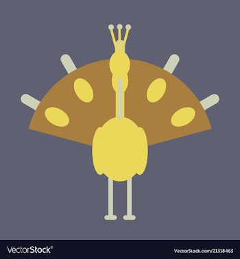 Beautiful peacock cartoon outline drawing to color vector image