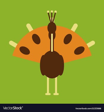 Beautiful peacock cartoon outline drawing to color vector image