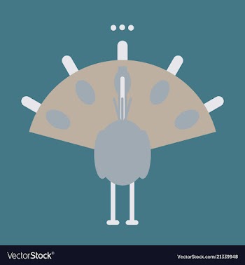 Beautiful peacock cartoon outline drawing to color vector image
