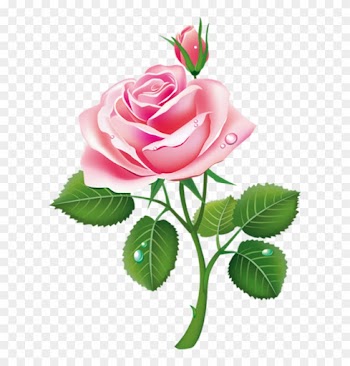 Клипарт Розы Пнг - Beautiful Pink Rose Flower