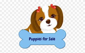 Beautiful Puppy Grooming Salon &amp; Boutique Professional - Large Wallpaper For Girl Room