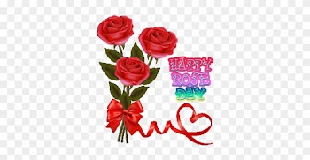 Beautiful Rose Png Hd